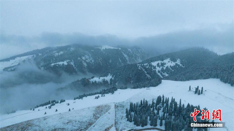 Galeria: paisagem de neve do outono no prado de Kalajun em Xinjiang