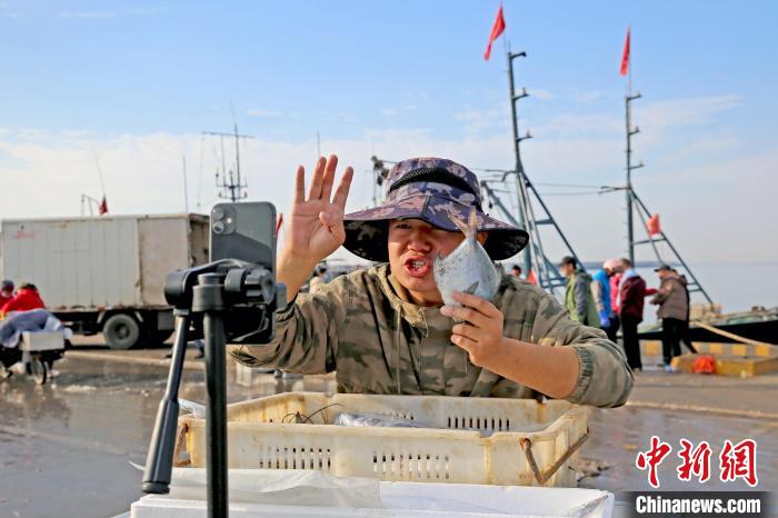 Shandong: pescadores vendem mariscos por transmissão ao vivo