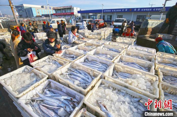 Shandong: pescadores vendem mariscos por transmissão ao vivo