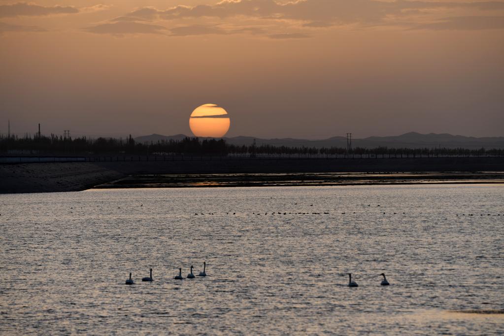 Galeria: cenário de outono da barragem das Três Gargantas