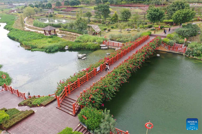 Galeria: parque pantanal do rio Nakao em Guangxi