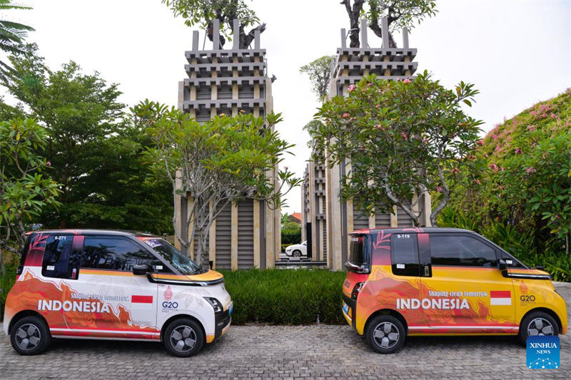 Veículos elétricos da chinesa Wuling utilizados durante a cúpula do G20