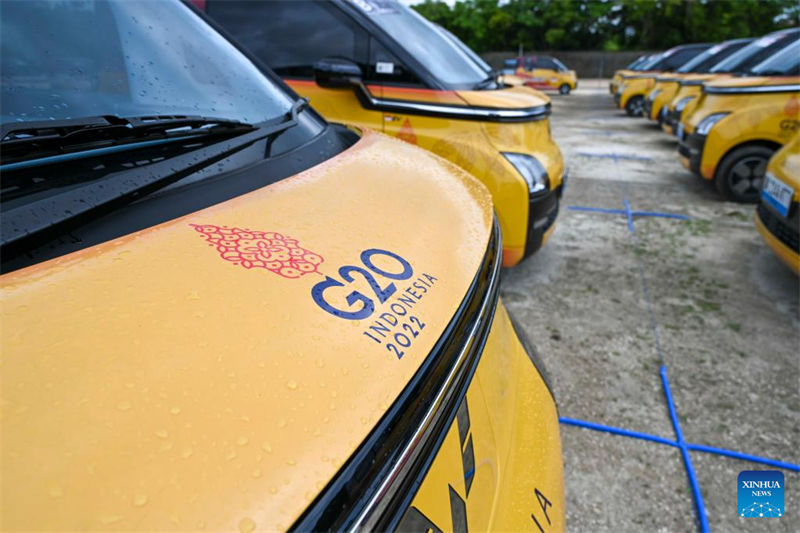 Veículos elétricos da chinesa Wuling utilizados durante a cúpula do G20