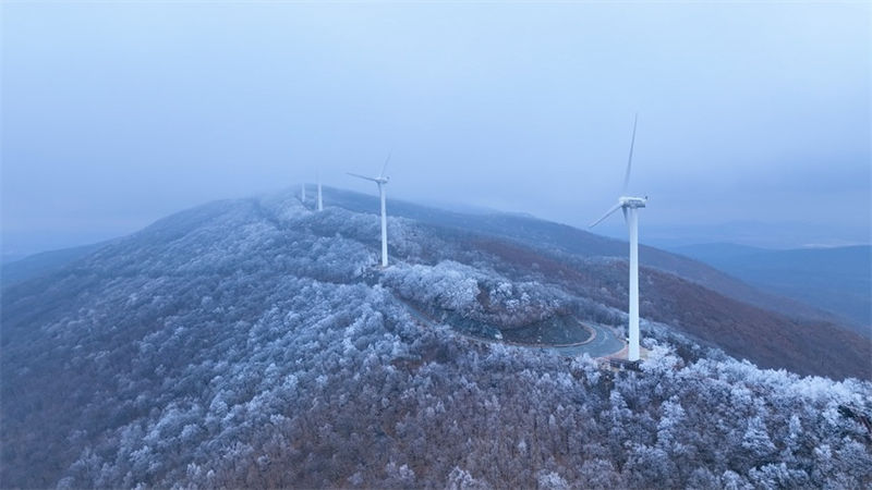 Heilongjiang: neve pesada cobre montanha Dadingzi