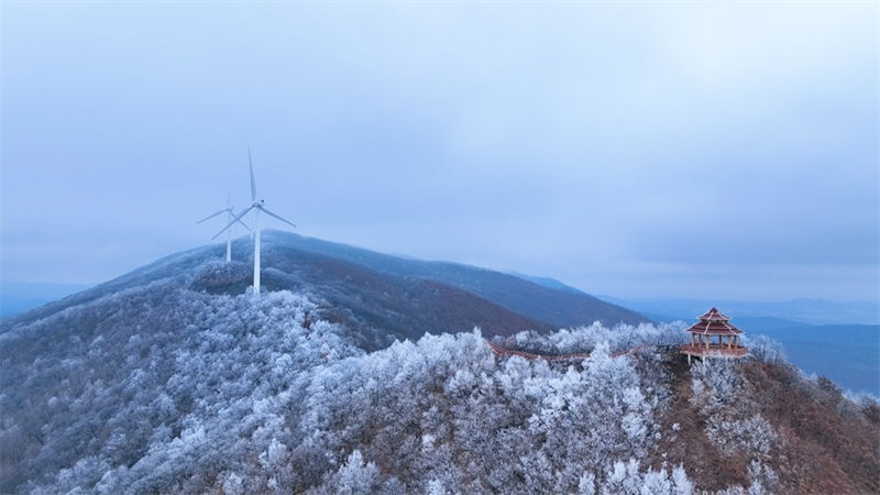 Heilongjiang: neve pesada cobre montanha Dadingzi