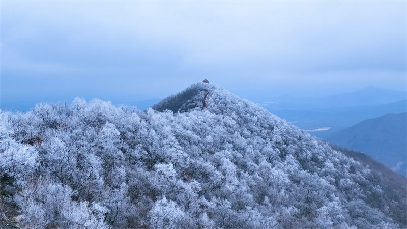 Heilongjiang: neve pesada cobre montanha Dadingzi