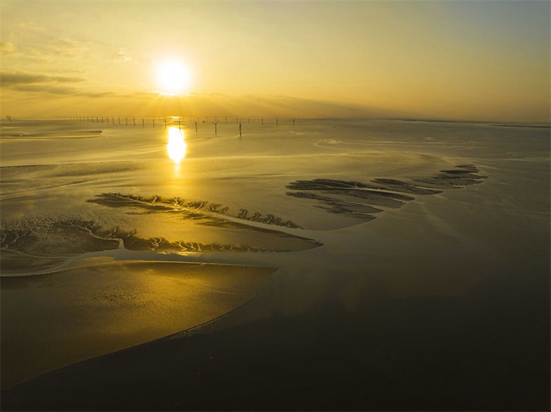 Jiangsu: paisagem espetacular da zona úmida Tiaozini