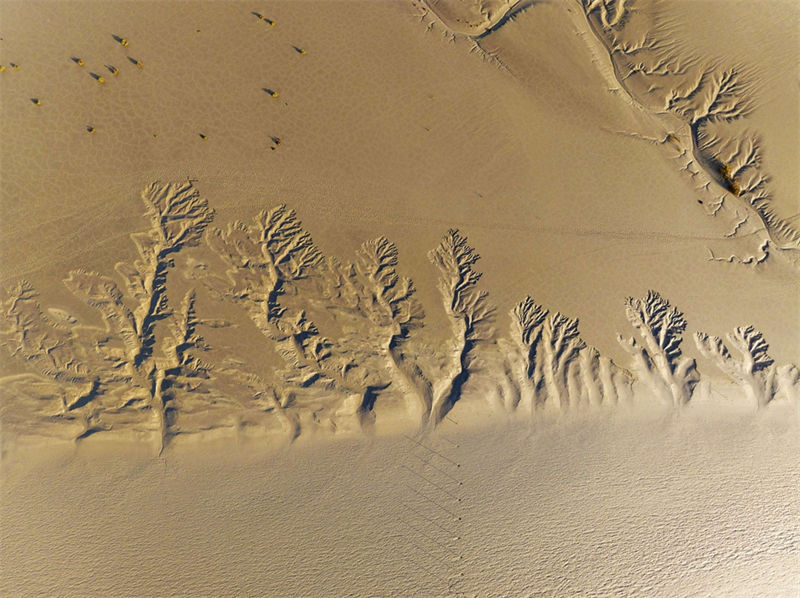 Jiangsu: paisagem espetacular da zona úmida Tiaozini