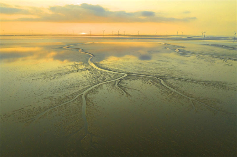 Jiangsu: paisagem espetacular da zona úmida Tiaozini