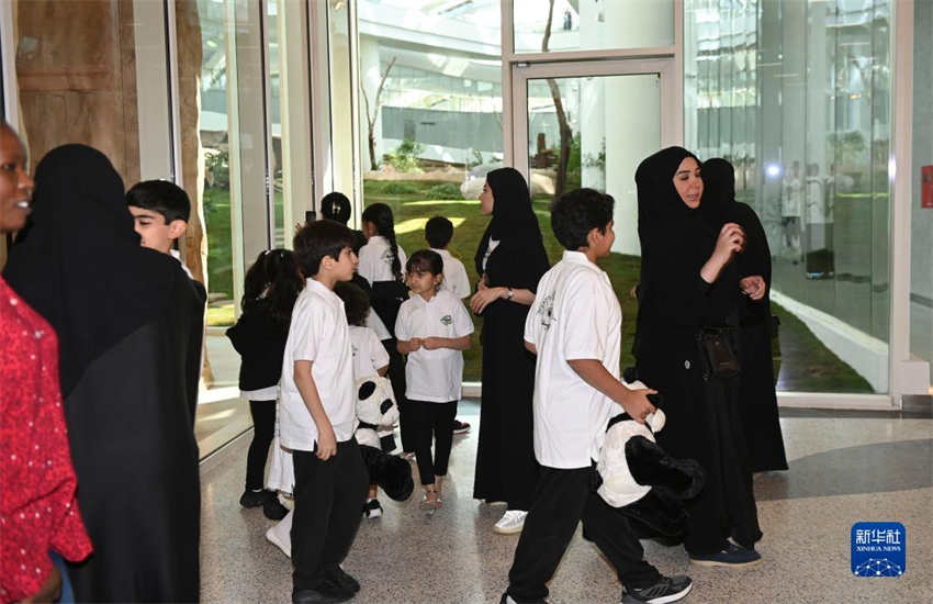 Pandas chineses se reúnem ao público na primeira Casa Panda de Doha antes da Copa do Mundo