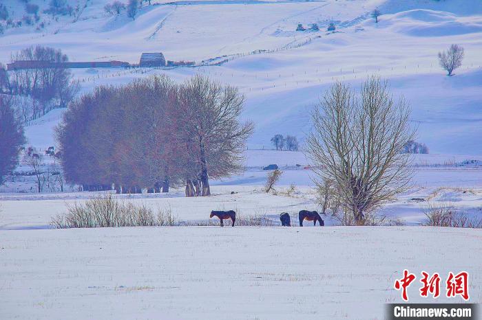 Xinjiang: paisagem após queda de neve em prado de Nalati