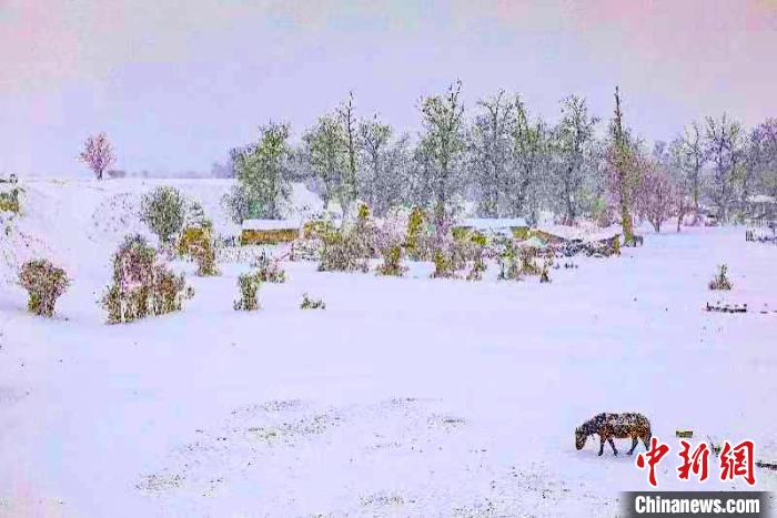 Xinjiang: paisagem após queda de neve em prado de Nalati