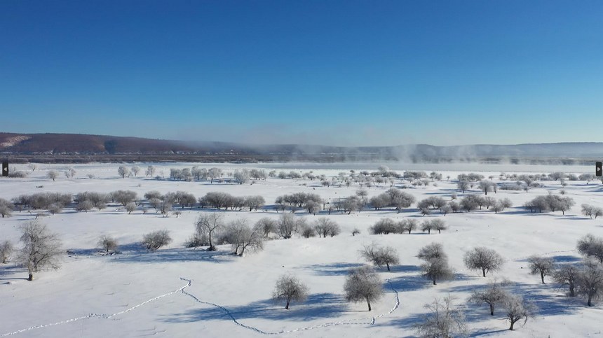 Galeira: bela paisagem de geada em Heilongjiang