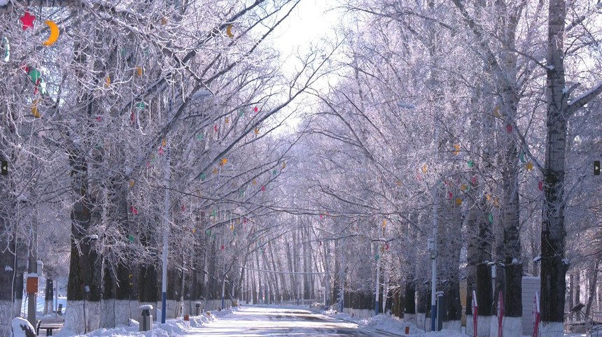 Galeira: bela paisagem de geada em Heilongjiang