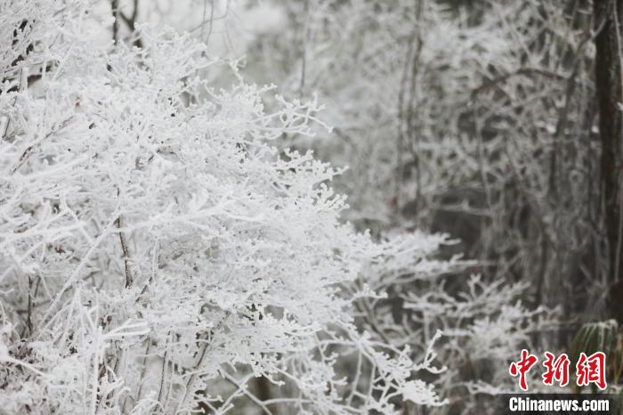 Galeria: montanha Dabieshan recebe primeira queda de neve