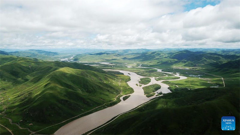 Noroeste da China restaura vegetação danificada através da conservação do solo 