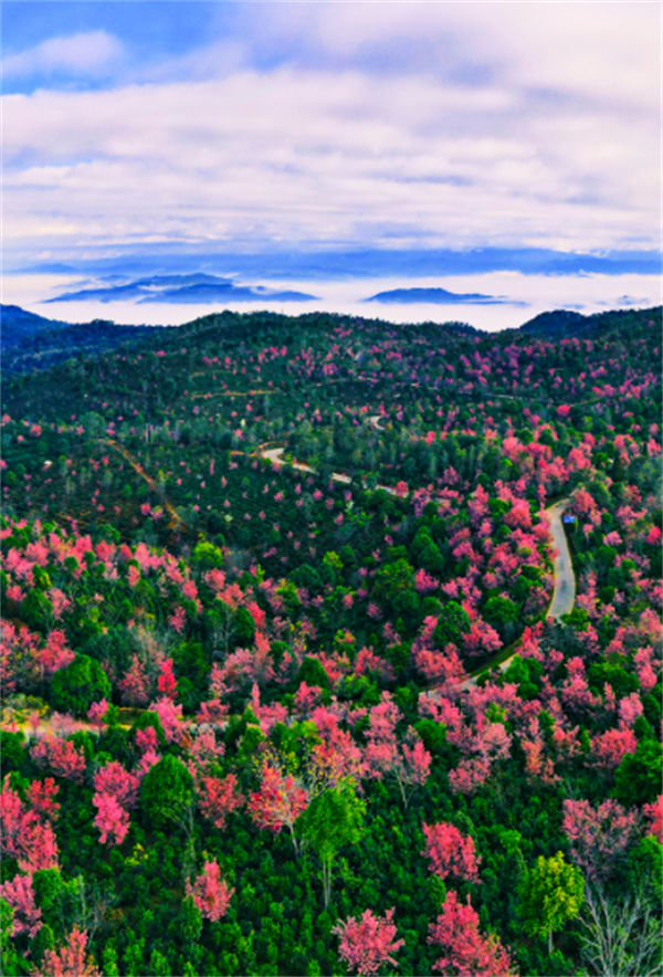 Galeria: belas paisagens das quatro estações de Yunnan