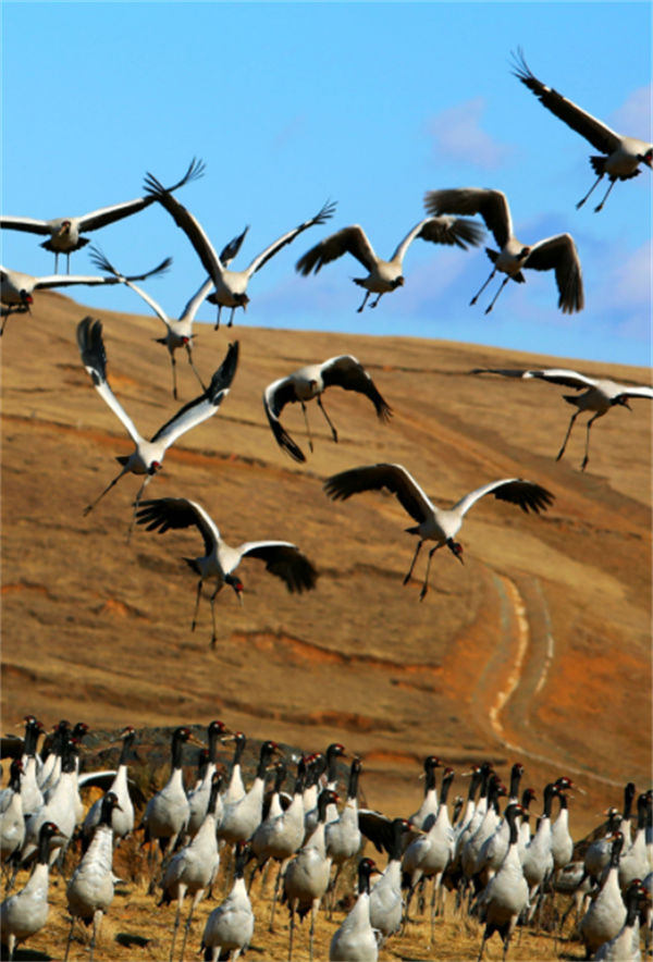 Galeria: belas paisagens das quatro estações de Yunnan