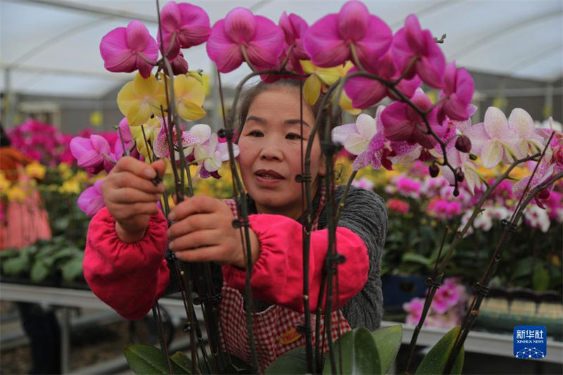 Mercados de flores estão animados com aproximação do Ano Novo