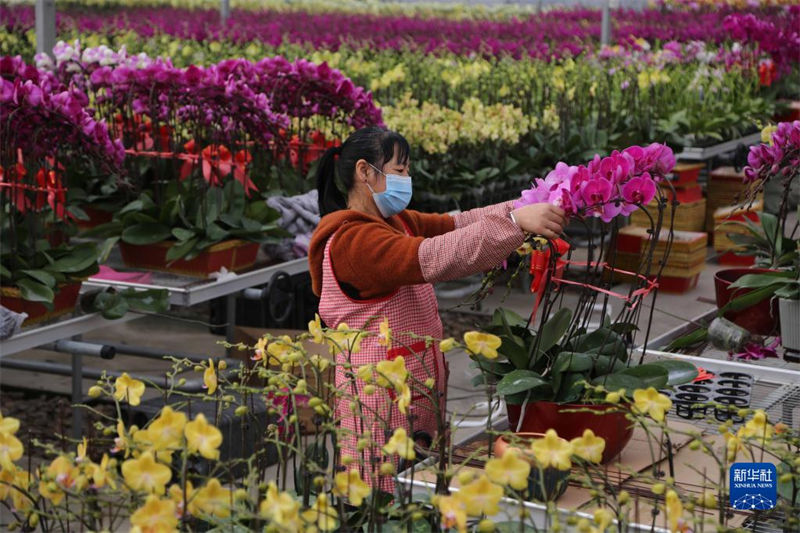 Mercados de flores estão animados com aproximação do Ano Novo