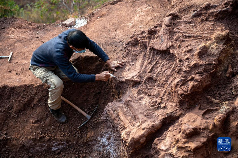 Yunnan: trabalho de escavação de 9 novos sítios de fósseis de dinossauros é iniciado