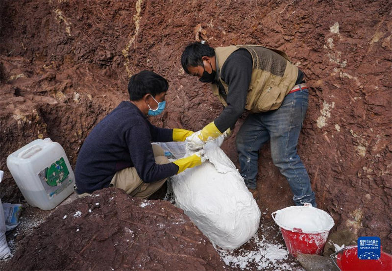 Yunnan: trabalho de escavação de 9 novos sítios de fósseis de dinossauros é iniciado