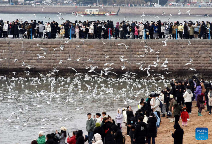 Galeria: chineses desfrutam de férias do Festival da Primavera