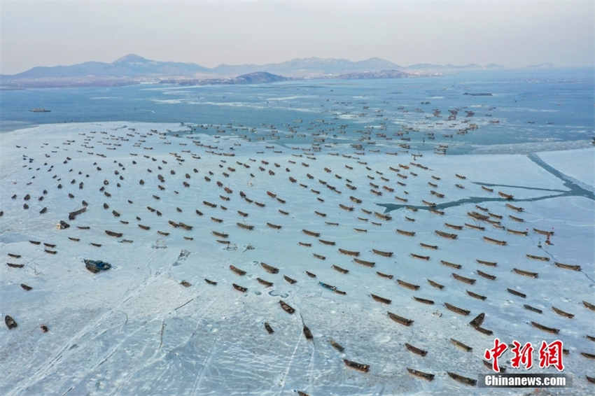 Galeria: barcos nos portos de Dalian congelam após queda acentuada de temperaturas