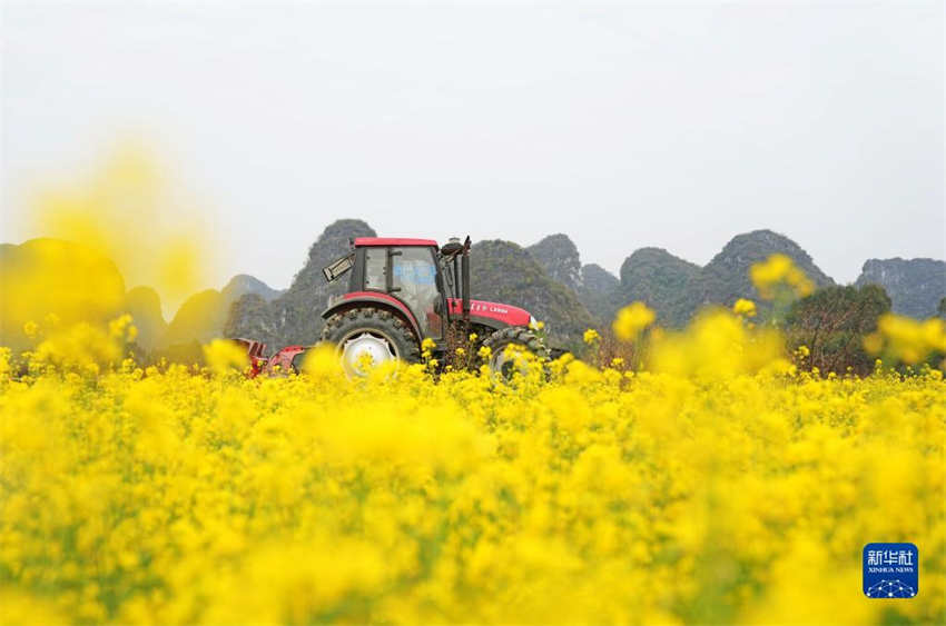 Galeria: arado de primavera começa em toda a China