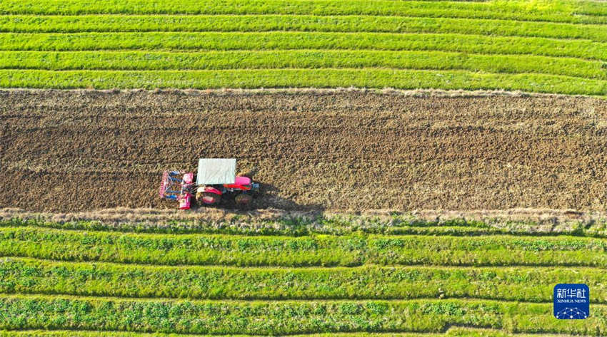 Galeria: arado de primavera começa em toda a China