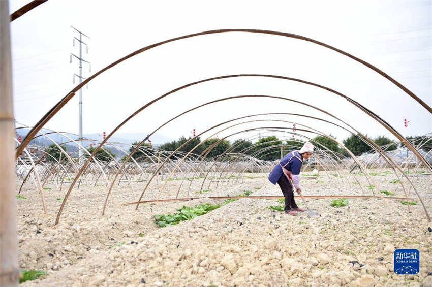 Galeria: arado de primavera começa em toda a China