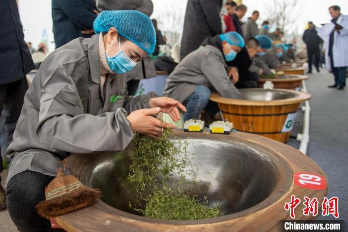 Sichuan: Leshan realiza concurso de fabrico artesanal de chá