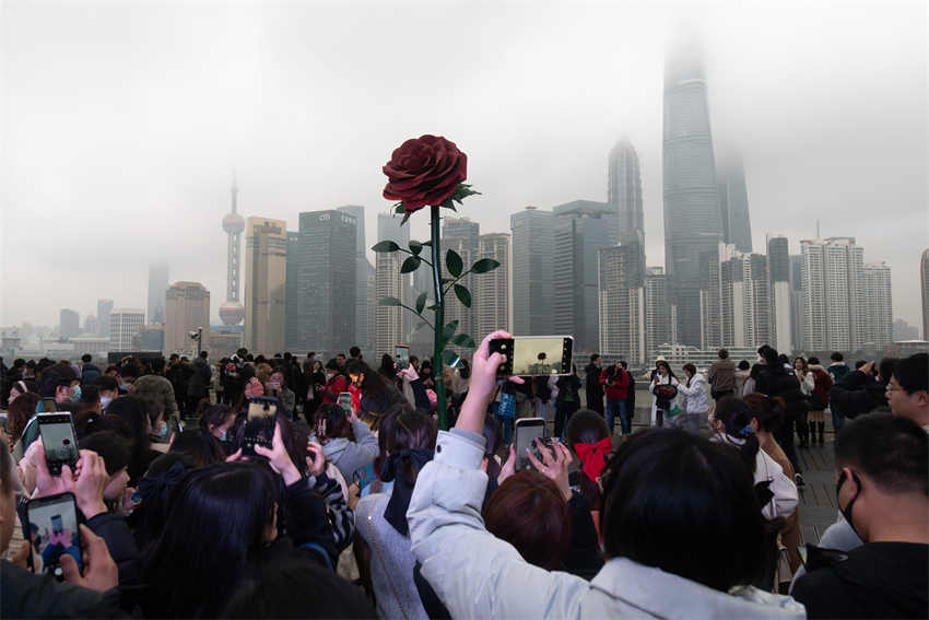 Escultura gigante de rosa instalada em Shanghai atrai cidadãos