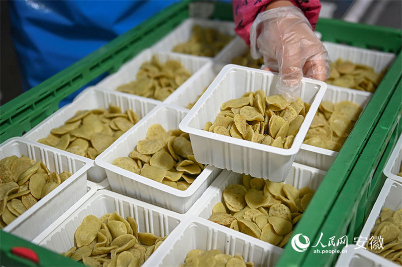 Anhui: vila com oficinas de produção caseira de tofu torna-se modelo nacional