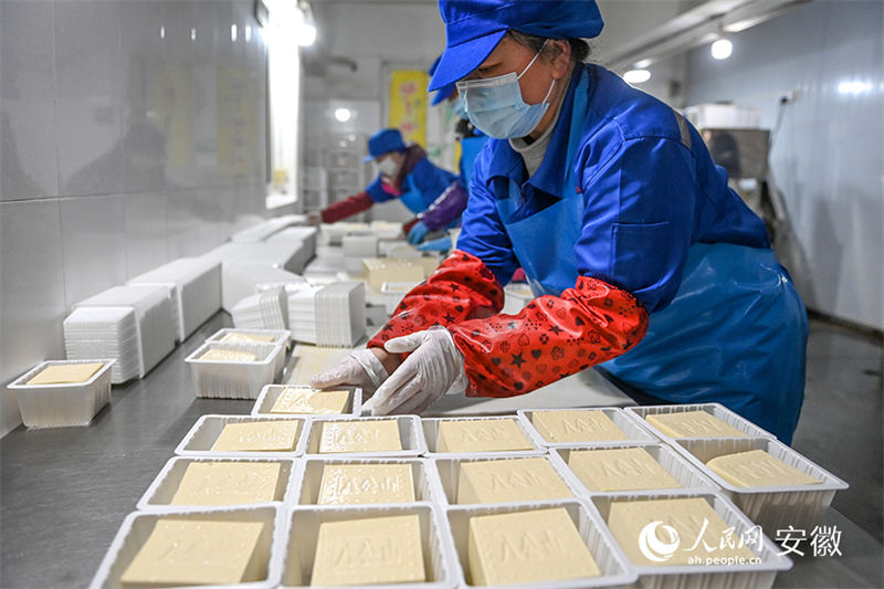 Anhui: vila com oficinas de produção caseira de tofu torna-se modelo nacional