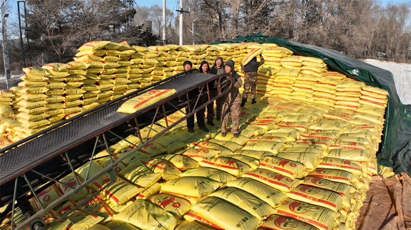 Agricultores estão ocupados preparando lavra de primavera no nordeste da China