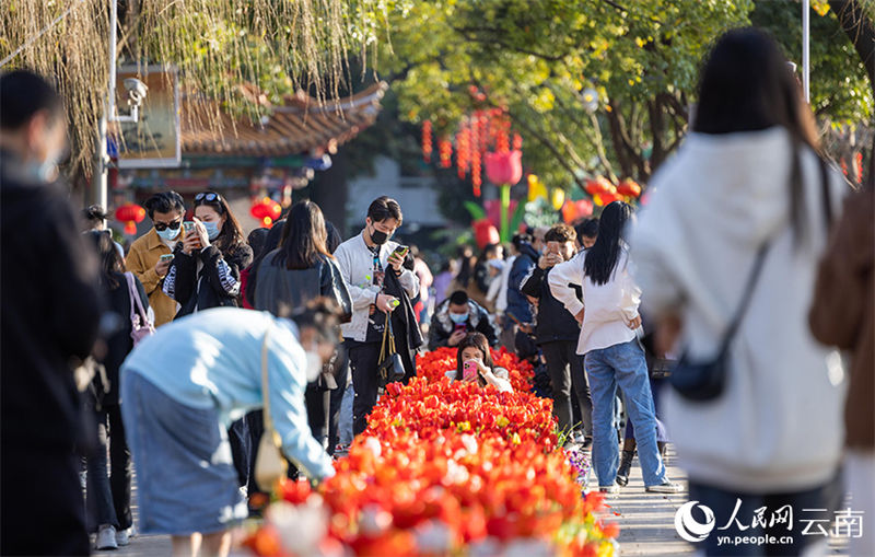 Galeria: tulipas desabrochas no sudoeste da China