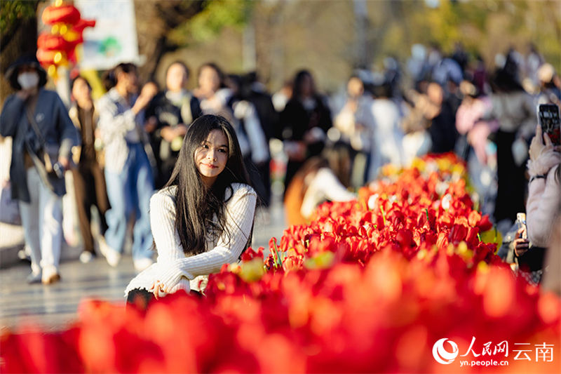 Galeria: tulipas desabrochas no sudoeste da China