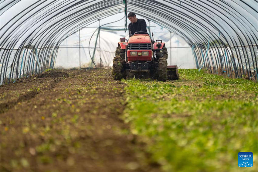 Agricultura da primavera avança em toda a China