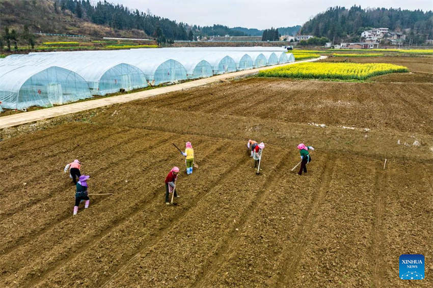 Agricultura da primavera avança em toda a China