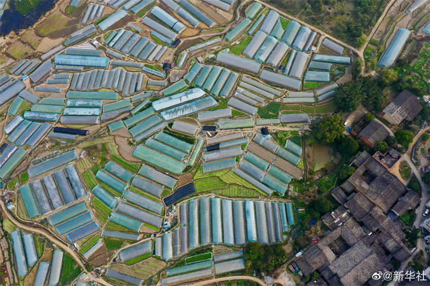 Galeria: campos arados durante primavera de Fujian