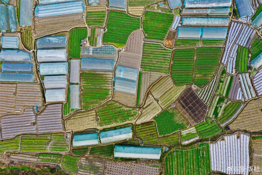 Galeria: campos arados durante primavera de Fujian