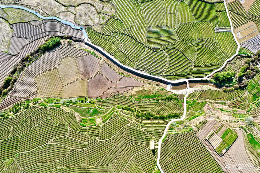 Galeria: campos arados durante primavera de Fujian