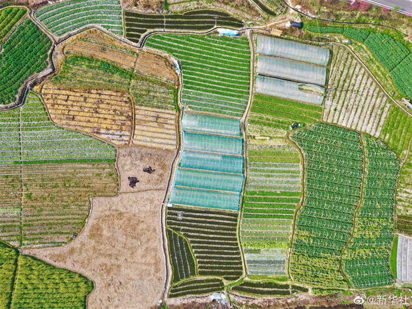 Galeria: campos arados durante primavera de Fujian