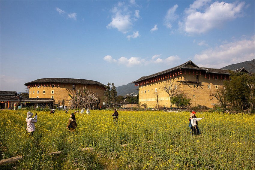 Galeria: Tulou em Fujian repleto da vitalidade da primavera 