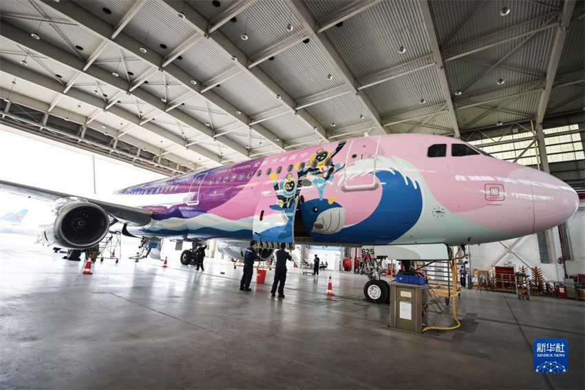 Avião com temática da Exposição Internacional de Produtos de Consumo da China recebe inspeção