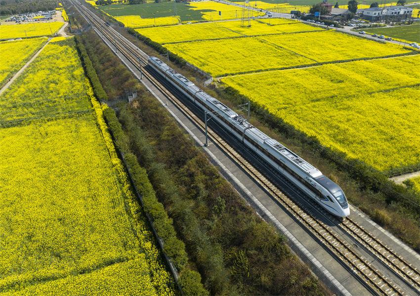 Galeria: trem-bala Tianfu atravessa campos de flores