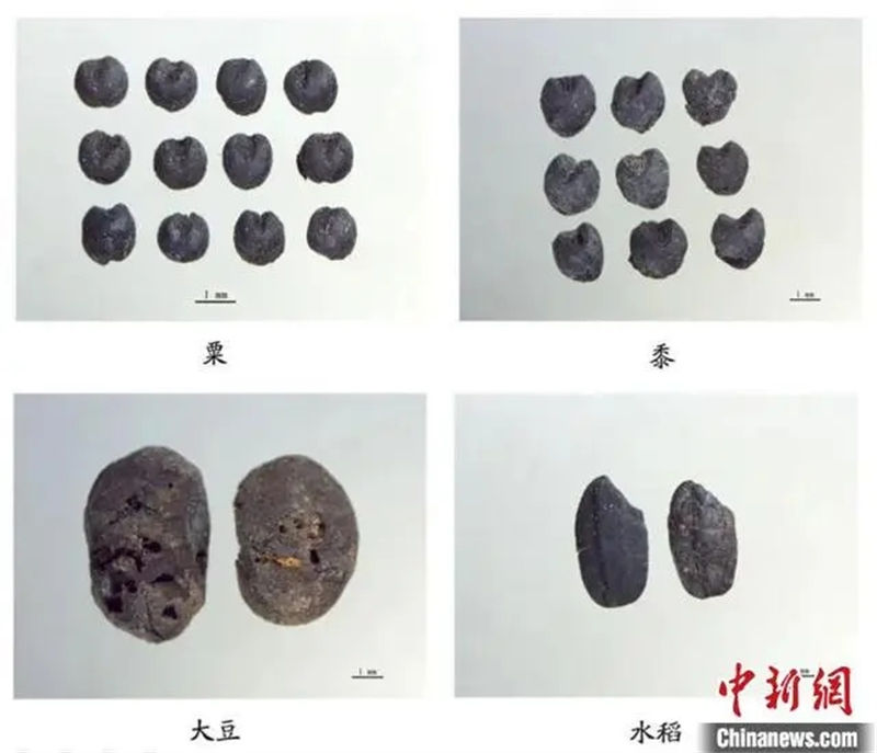 Sítio de relíquias da Dinastia Xia é encontrado no norte da China