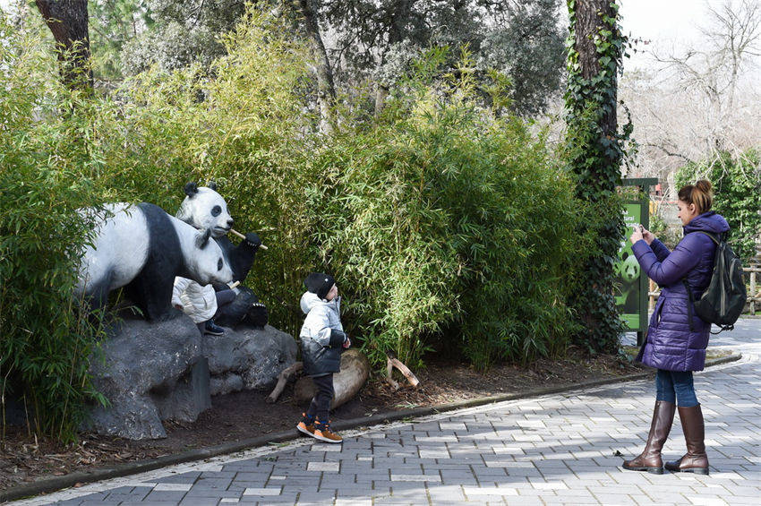 Pandas gigantes constituem ponte de amizade entre China e Espanha