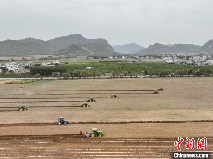 Lavoura da primavera decorre no sul da China